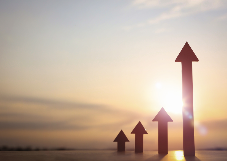 Vocational Skills Development